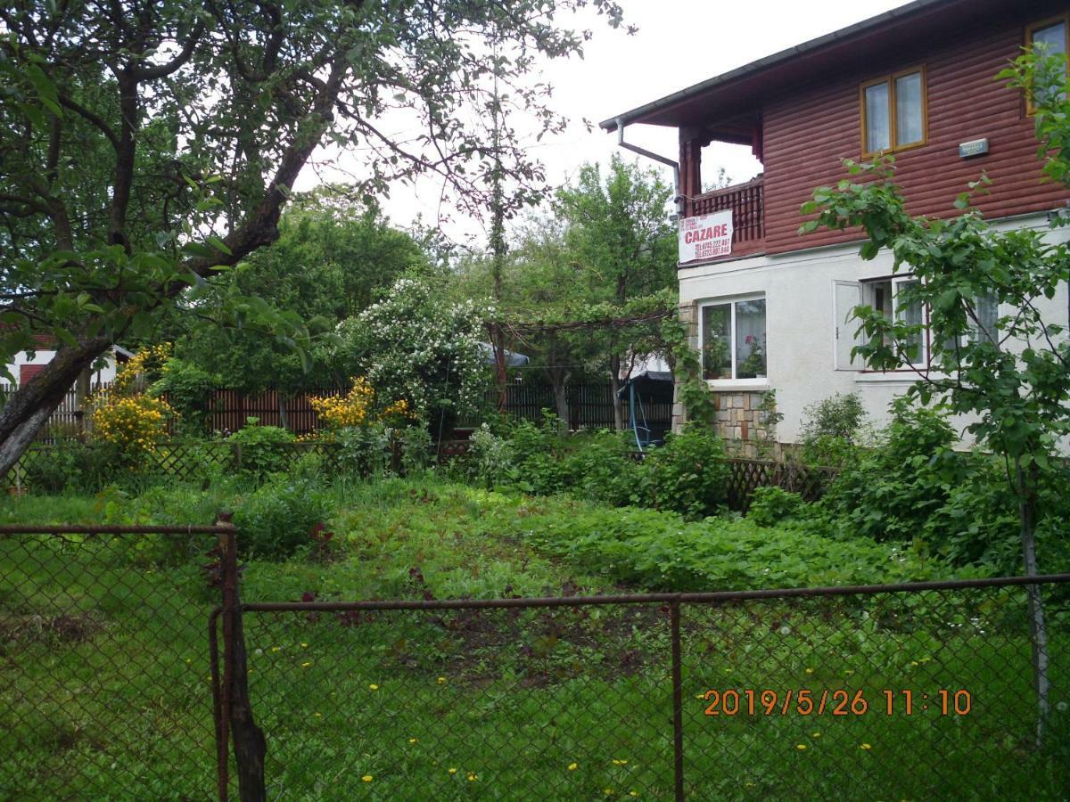 Vila Mihaela Breaza  Exteriör bild