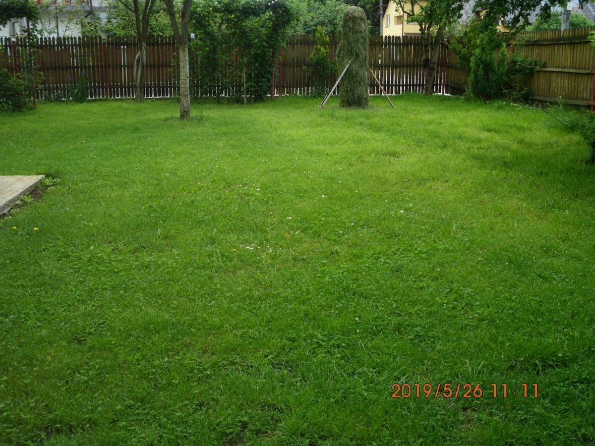 Vila Mihaela Breaza  Exteriör bild