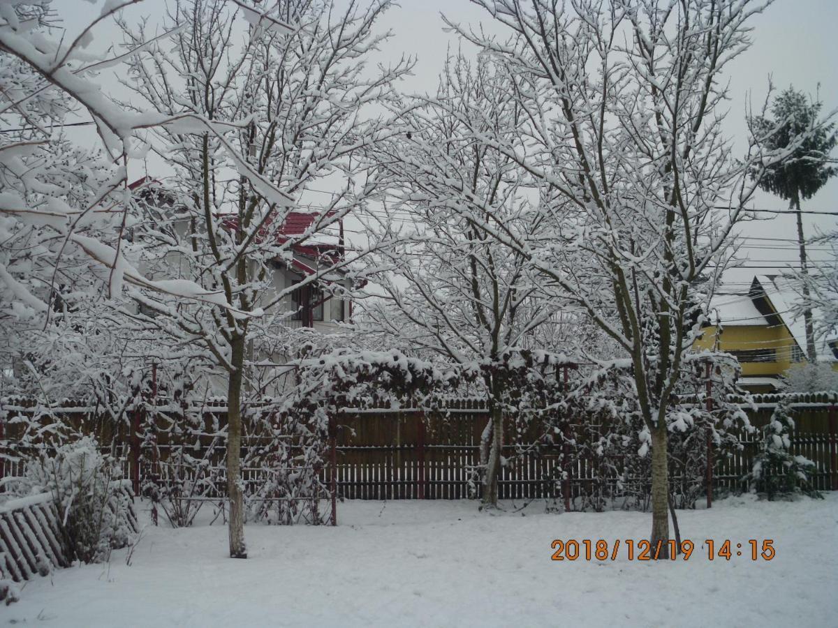 Vila Mihaela Breaza  Exteriör bild