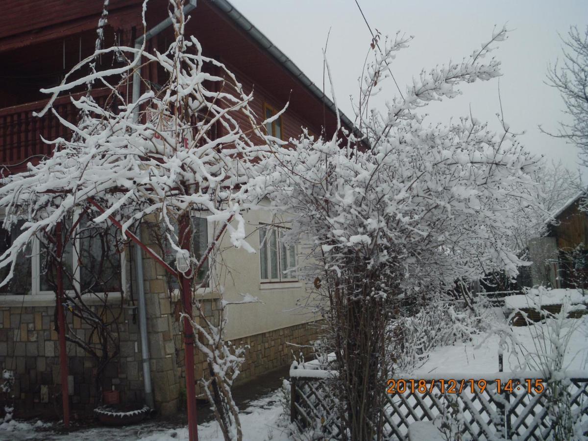 Vila Mihaela Breaza  Exteriör bild