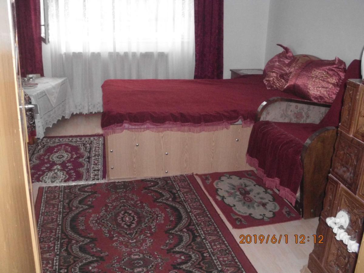 Vila Mihaela Breaza  Exteriör bild